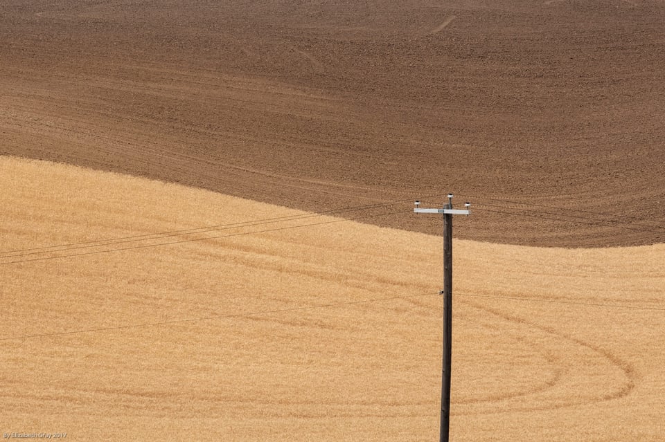 Pole in Field