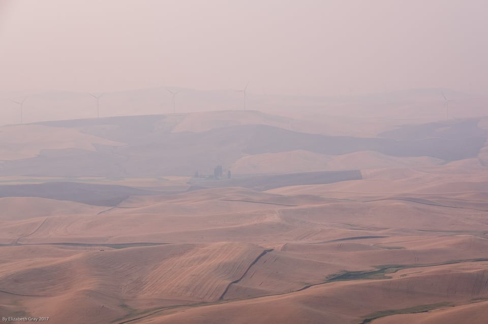 View from Steppe Bute