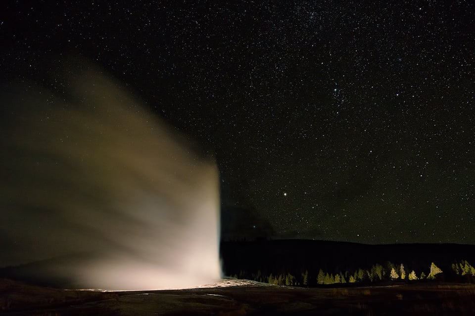 Wildlife in Yellowstone (1)