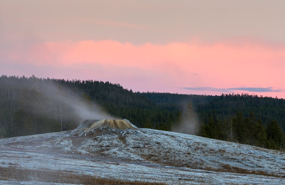 Wildlife in Yellowstone (3)