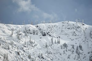 Yellowstone Wildlife (5)