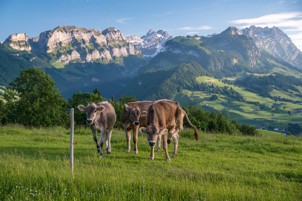 14_Appenzell_170611_044