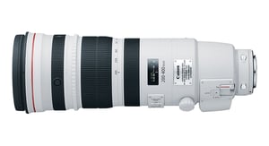 Canon EF 200-400mm f/4L IS USM Extender 1.4x