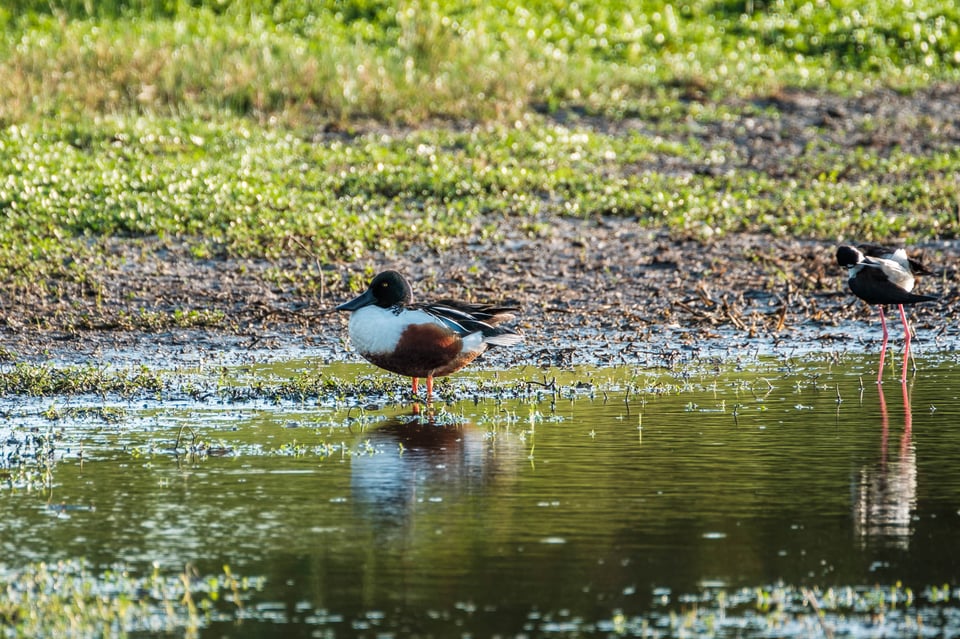 Fuji 100-400 Lens Review_Shoveler