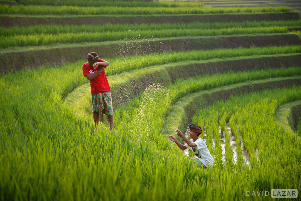 13. David Lazar Playing in the Rice Terraces