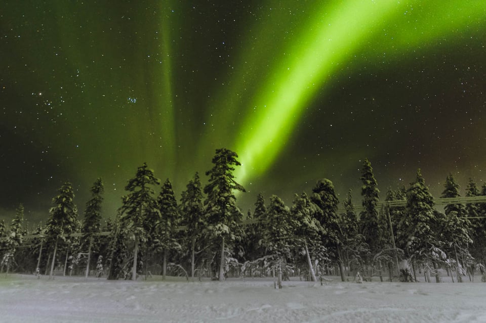 Aurora Borealis with trees