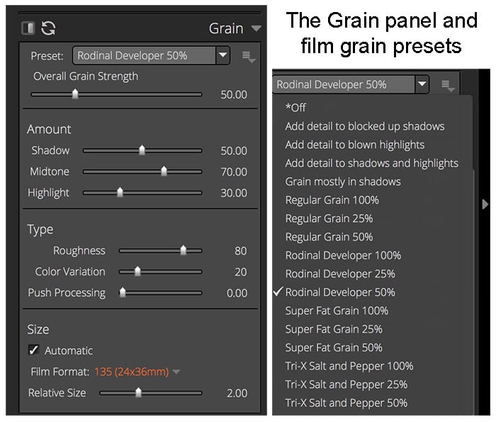 Grain Panel