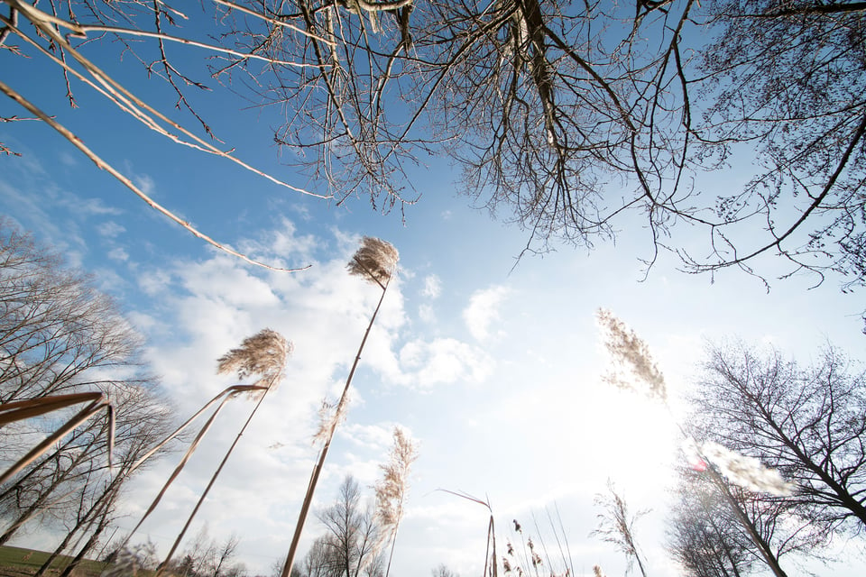 Irix 11mm f/4 Flare Direct Sun