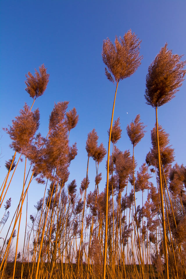 Irix 11mm f4 Image Sample (12)