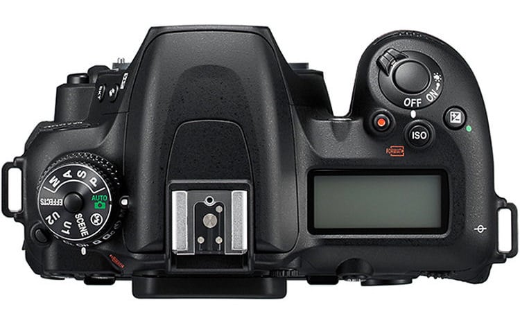 Nikon D7500 Review