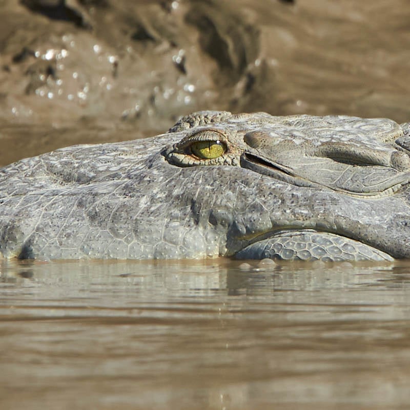 Canon EF 300mm f2.8L IS USM Image Sample (15)