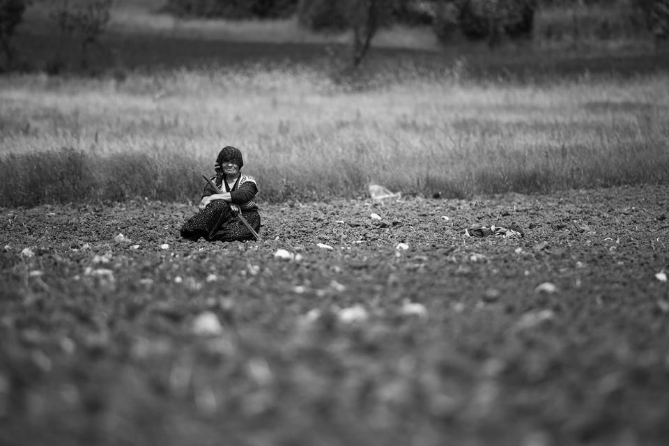 Children and Elderly Portraits (7)