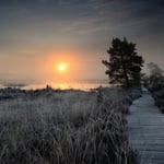 Frosty-Thursley-Nikon-D7000-Sigma-24mm-Ultrawide-II-F2.8