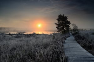 Frosty-Thursley-Nikon-D7000-Sigma-24mm-Ultrawide-II-F2.8