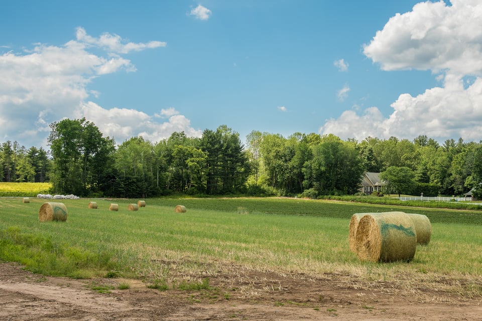 Haystacks on farm