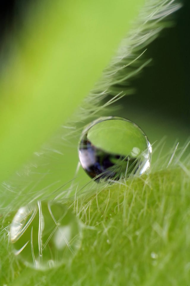 Crystal Globes