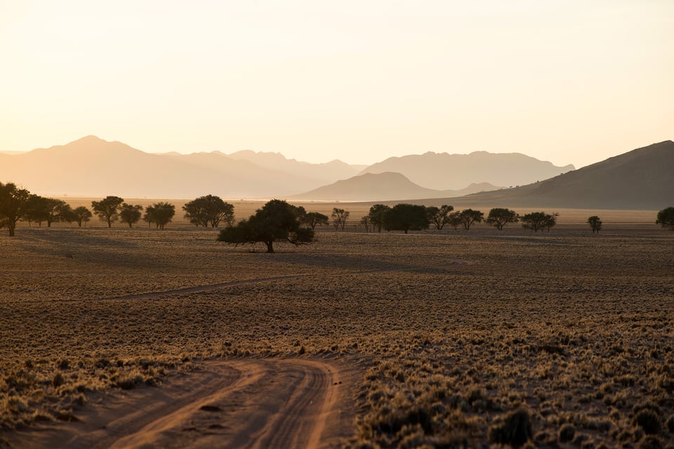 African Safari (7)