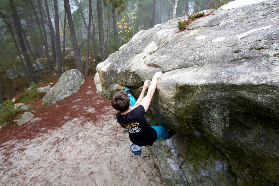 Bouldering in a Forest