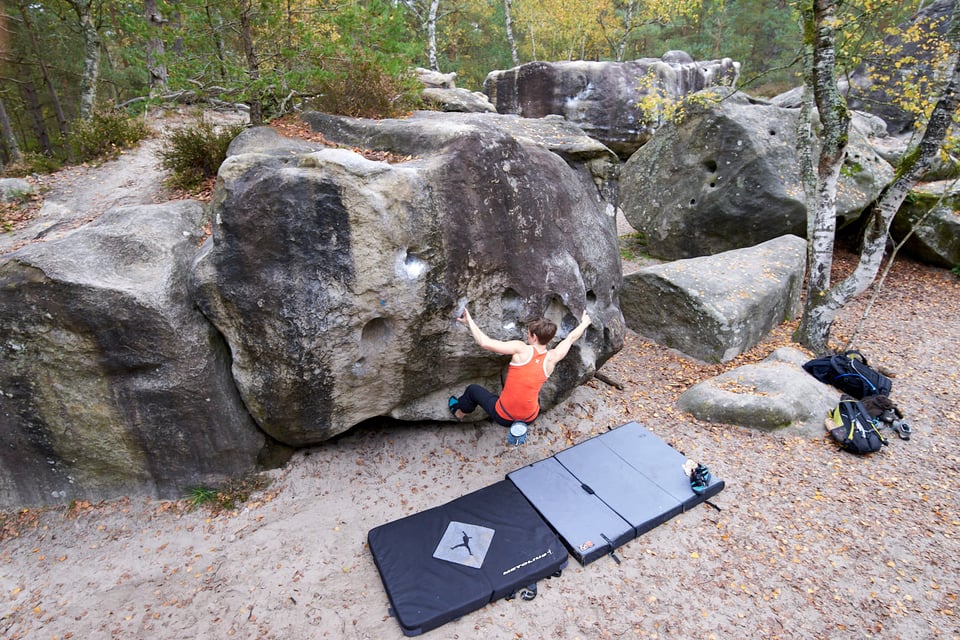 Climbing a Boulder in the Forest