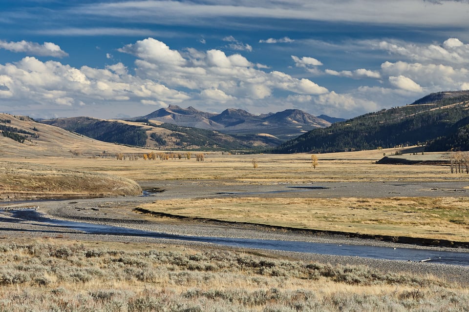 Lamar Valley with Mountains