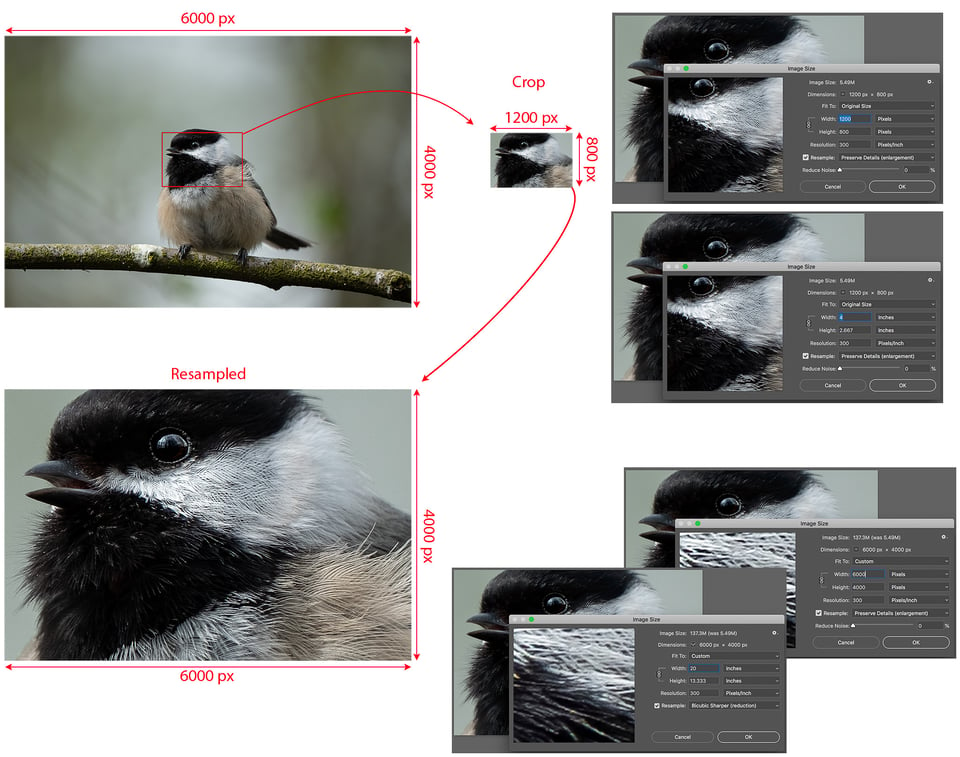 Example of resampling and how it affects print size