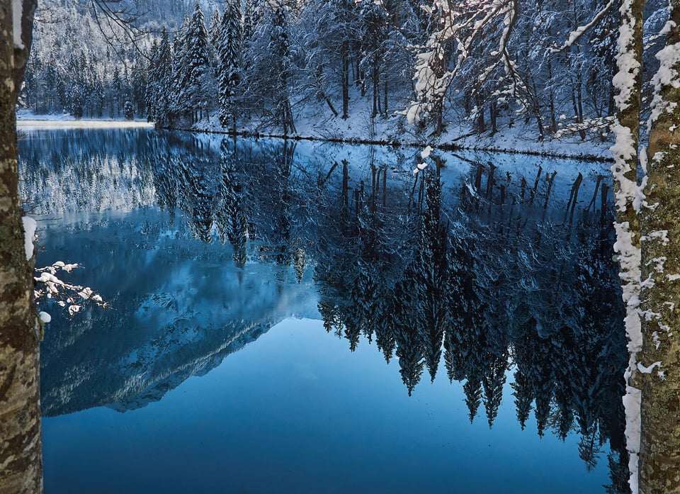 Water Reflection