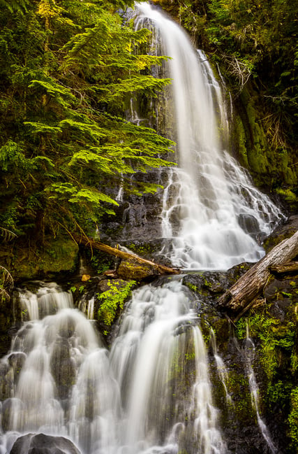 Waterfall in Mt Rainier National Park