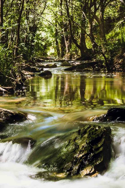 Waterfalls in Morialta