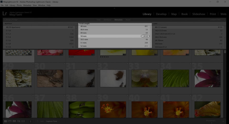 Focal Length Section of Metadata Tab