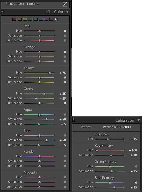 Lightroom Preset Modifications