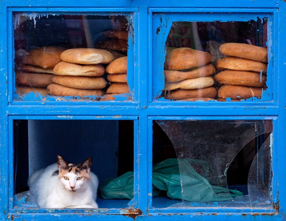 Chefchaouen #12