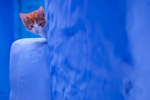 Chefchaouen #9
