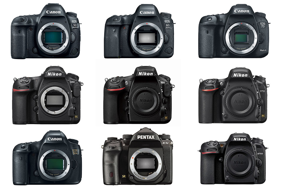 Nikon D5300 Advanced Beginner DSLR: Guided Tour