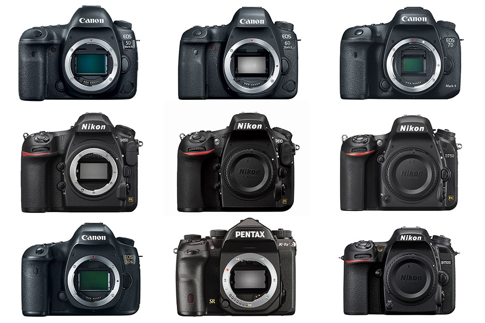 Best DSLR Cameras