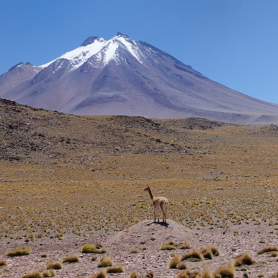 Chile and Argentina #11