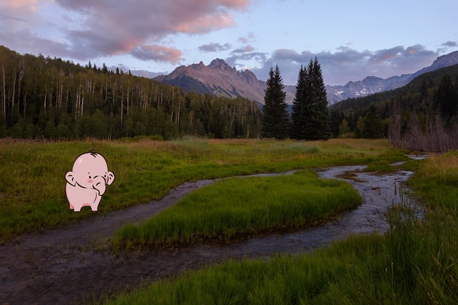 Digital Illustration of Elephant in a Landscape Photo