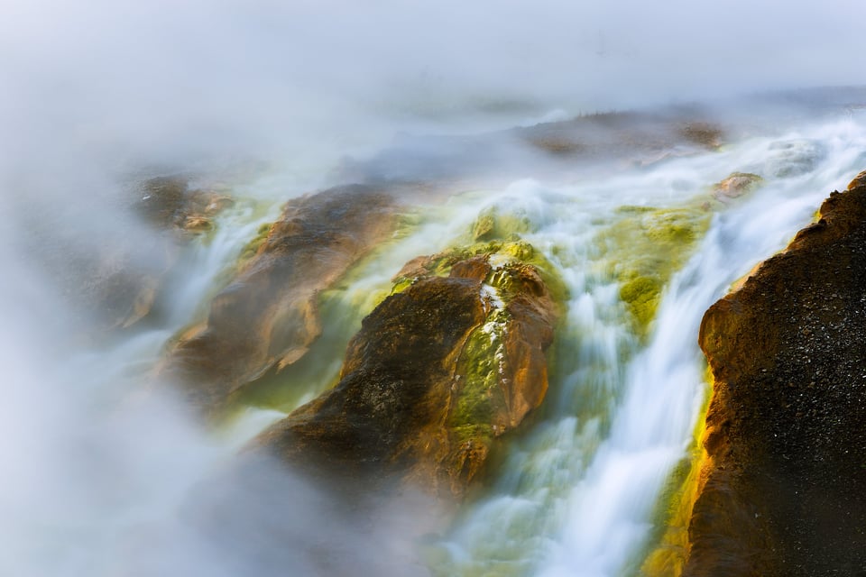2. Runoff from a hotspring, Yellowstone