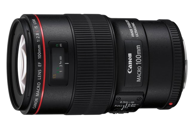 Canon EF 100mm f/2.8L Macro IS USM Review