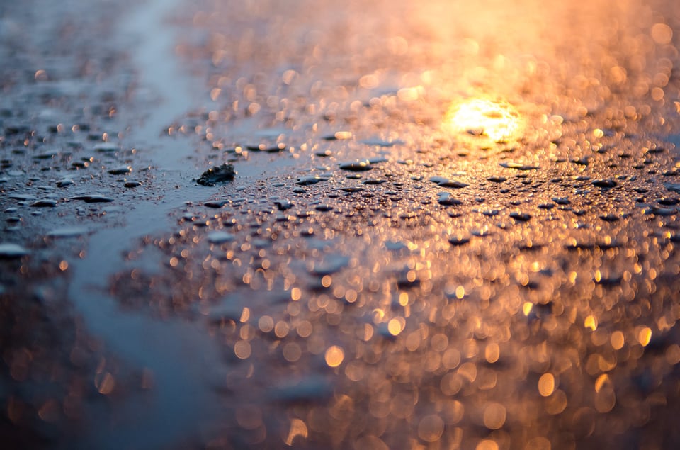 Droplets of Water on the Hood of a Blue Car