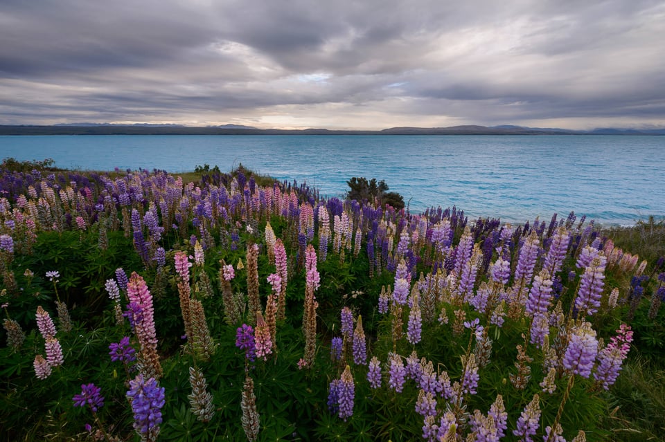 Hyperfocal Distance Landscape Photo