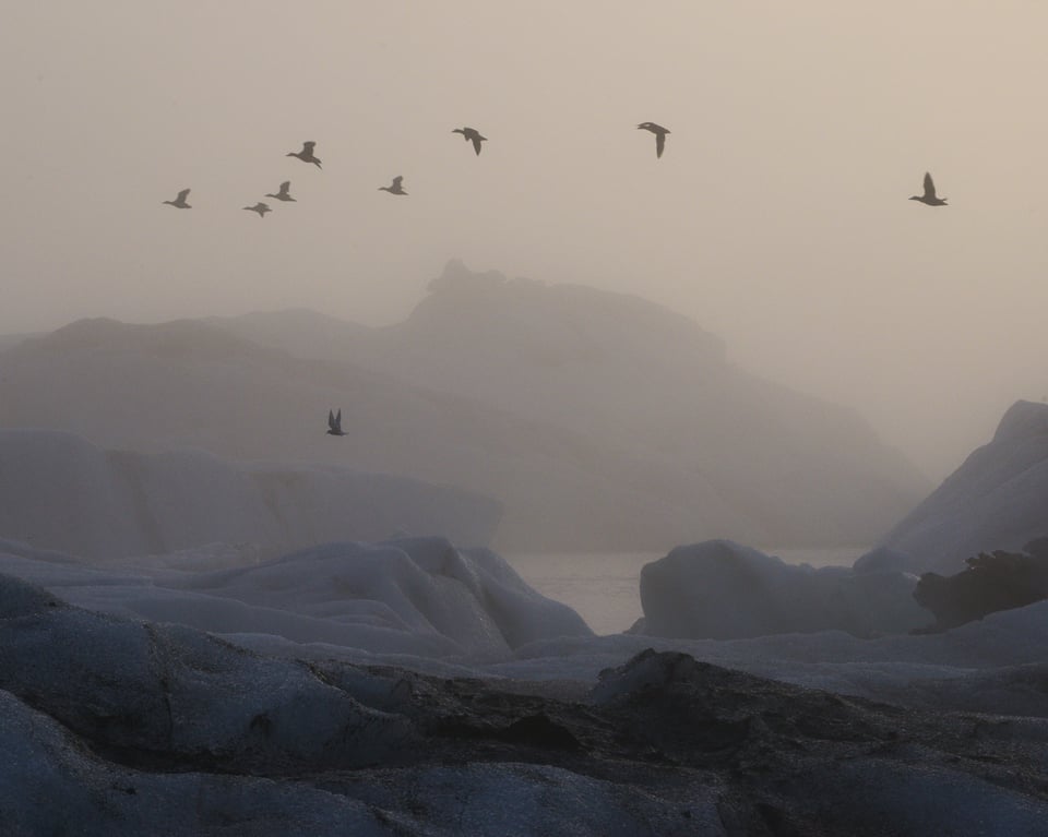 Complex Landscape Photo with Deliberate Composition