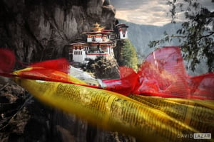 16. David-Lazar-Bhutan-Tigers Nest-Prayer Flags