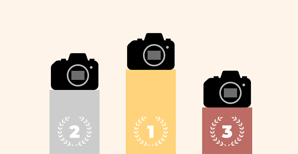 Best Entry-Level DSLRs of 2024 for Beginners, Ranked