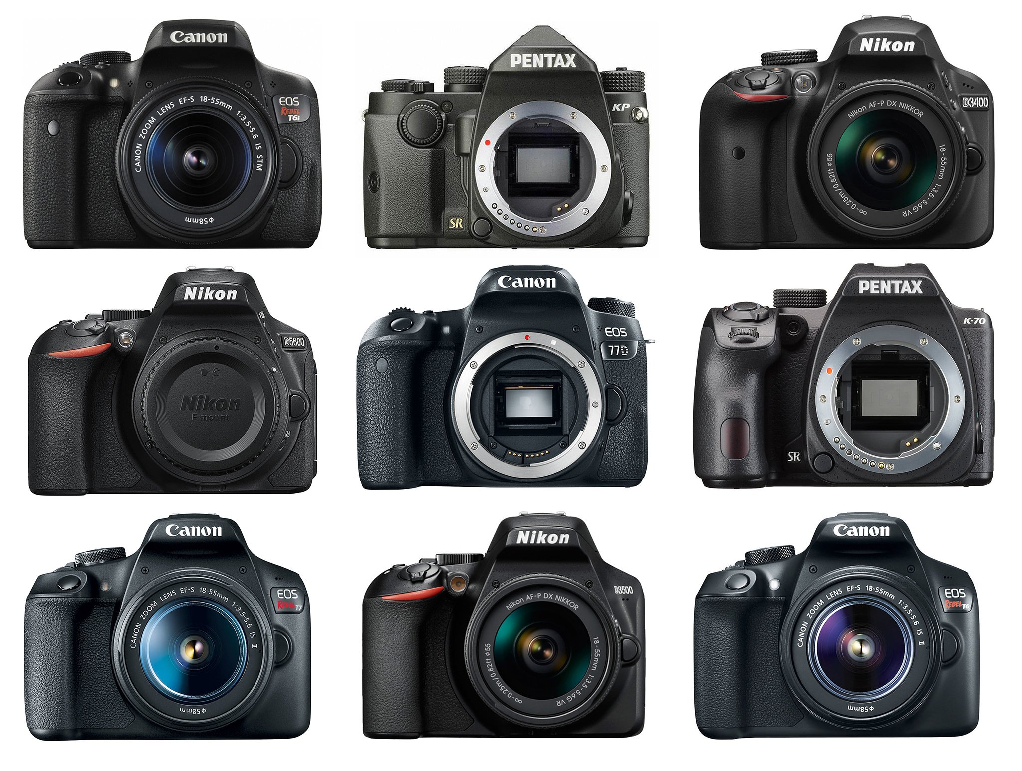 Nikon D5600 DSLR Camera with 18-55mm Lens + Expo Essentials Kit 