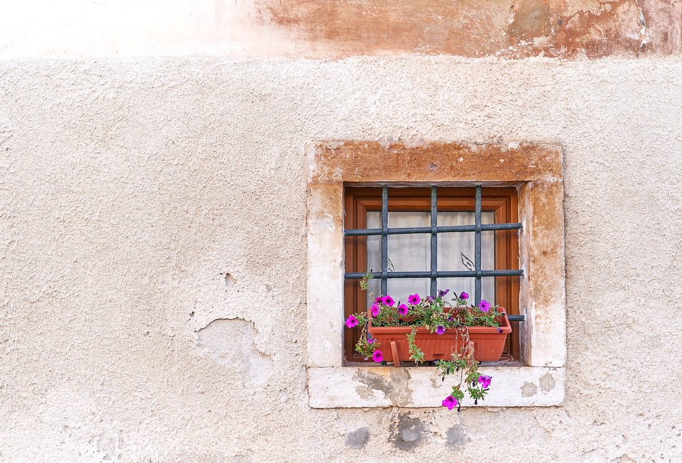 22. Flower Pot In The Window