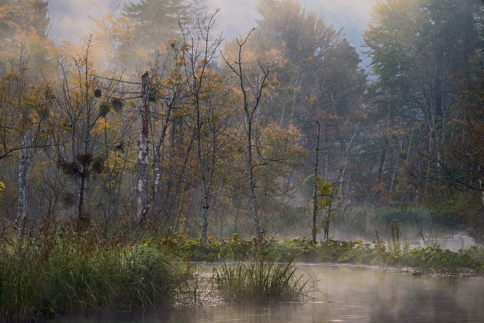 4. Foggy Morning at Plitvice