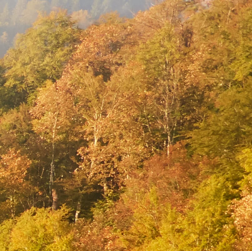 Crop of Corner At the Wide End