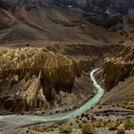 _DSC8344