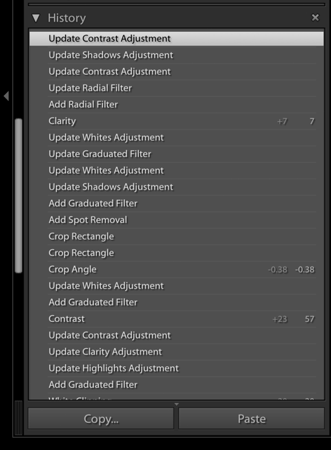 Lightroom History Panel