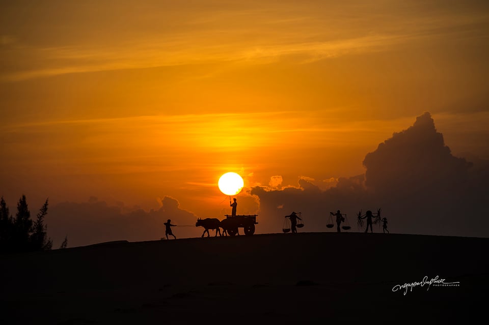 16. Nguyen-vu-Phuoc_phanrang